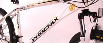 Велосипед Phoenix - плюсове и минуси, съвети за избор