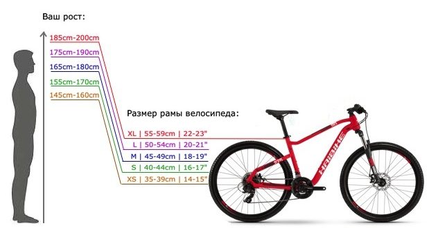 Размер на рамката на велосипеда по височина - как да се намери и монтира, таблица